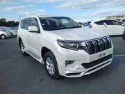 2019 TOYOTA LAND CRUISER PRADO TX