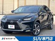 2018 LEXUS NX