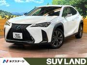 2019 LEXUS UX