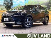 2019 LEXUS NX