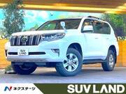 2019 TOYOTA LAND CRUISER PRADO TX