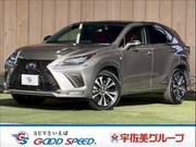 2019 LEXUS NX
