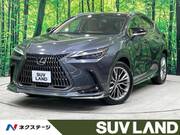2022 LEXUS NX