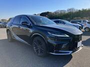 2024 LEXUS RX