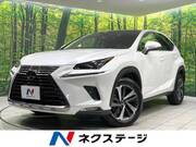 2019 LEXUS NX