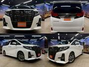 2016 TOYOTA ALPHARD