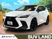2025 LEXUS NX