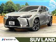 2019 LEXUS UX