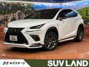 2019 LEXUS NX
