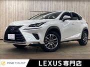 2018 LEXUS NX