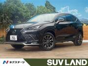2021 LEXUS NX
