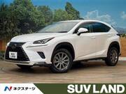 2019 LEXUS NX