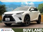 2019 LEXUS NX