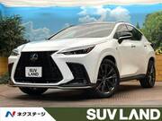 2023 LEXUS NX
