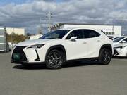 2020 LEXUS UX