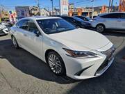 2019 LEXUS ES
