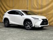 2016 LEXUS NX