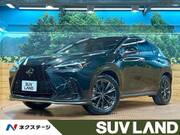 2022 LEXUS NX