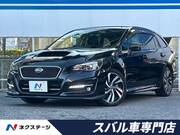 2019 SUBARU LEVORG