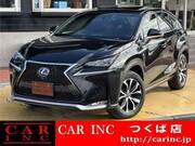 2016 LEXUS NX