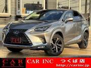2019 LEXUS NX