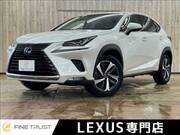 2019 LEXUS NX