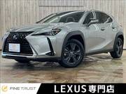 2019 LEXUS UX