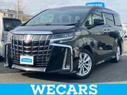 2019 TOYOTA ALPHARD G