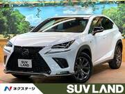 2020 LEXUS NX
