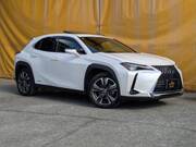 2019 LEXUS UX