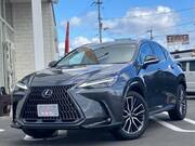 2024 LEXUS NX