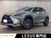 2015 LEXUS NX