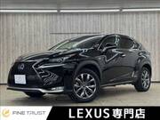 2015 LEXUS NX