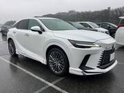 2023 LEXUS RX