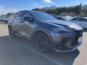 2024 LEXUS NX