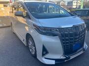 2019 TOYOTA ALPHARD X