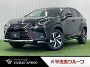 2019 LEXUS NX