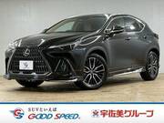 2022 LEXUS NX