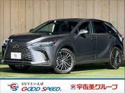 2023 LEXUS RX