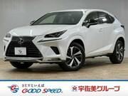 2020 LEXUS NX
