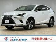 2020 LEXUS NX