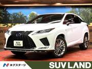 2019 LEXUS RX
