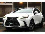 2022 LEXUS NX