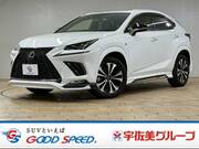 2020 LEXUS NX