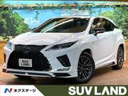 2019 LEXUS RX