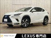 2019 LEXUS NX