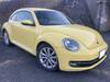 VOLKSWAGEN THE BEETLE