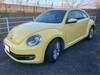 VOLKSWAGEN THE BEETLE