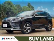 2021 LEXUS NX
