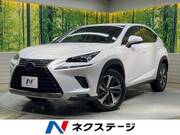 2018 LEXUS NX
